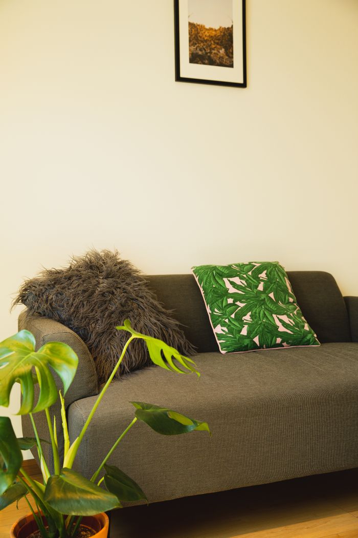 our-experience Interior of modern house with gray couch with cushions and potted plant placed on parquet